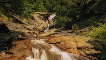 Un paisaje natural con una cascada que fluye sobre rocas, rodeado de frondosa vegetación verde.