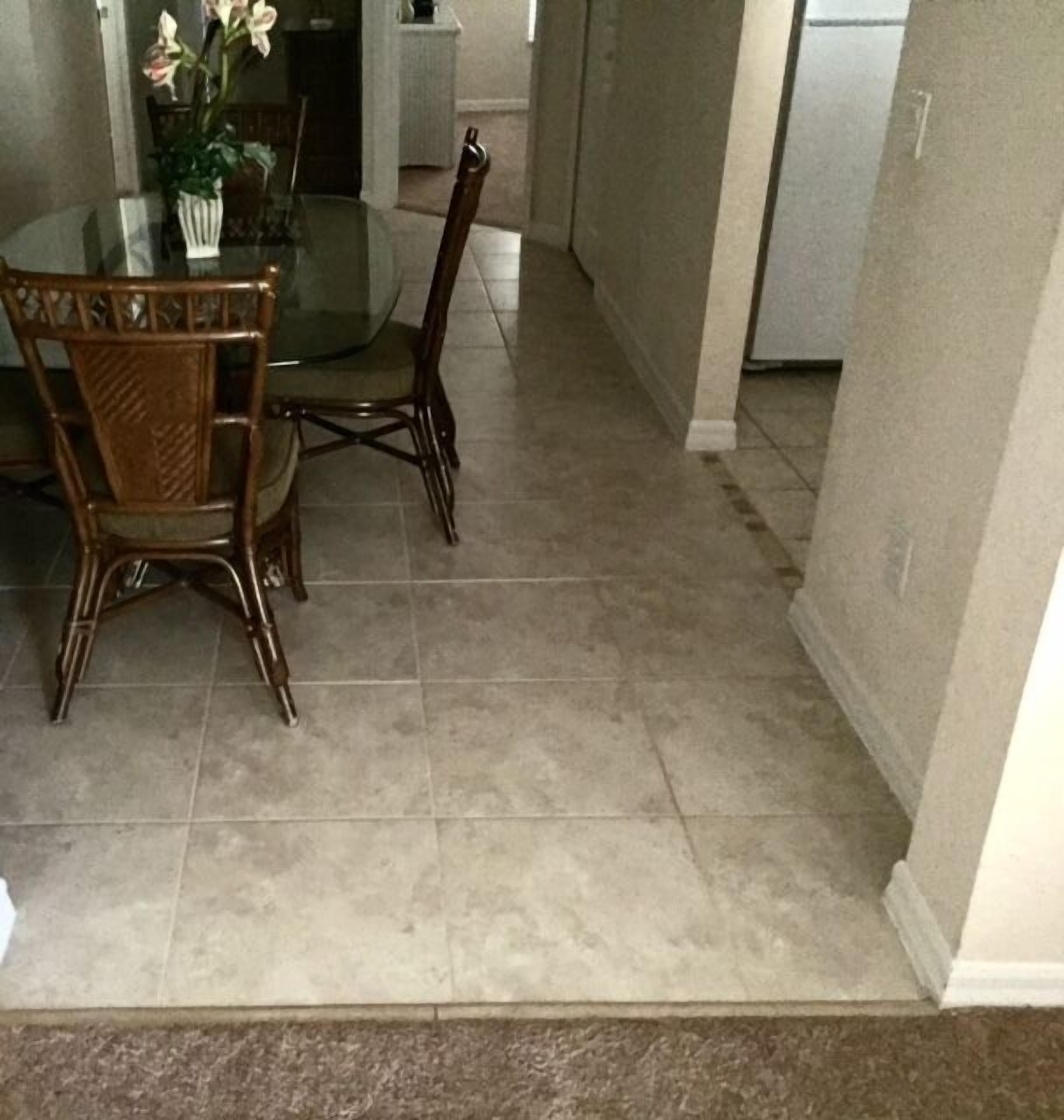 A dining area with a glass table and wicker chairs, a potted plant, and a tiled floor.
