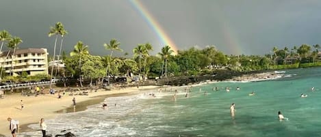 Une plage avec un arc-en-ciel, des palmiers et des vagues de l’océan.
