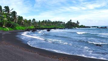 A beach with dark sand, waves, and a line of palm trees.