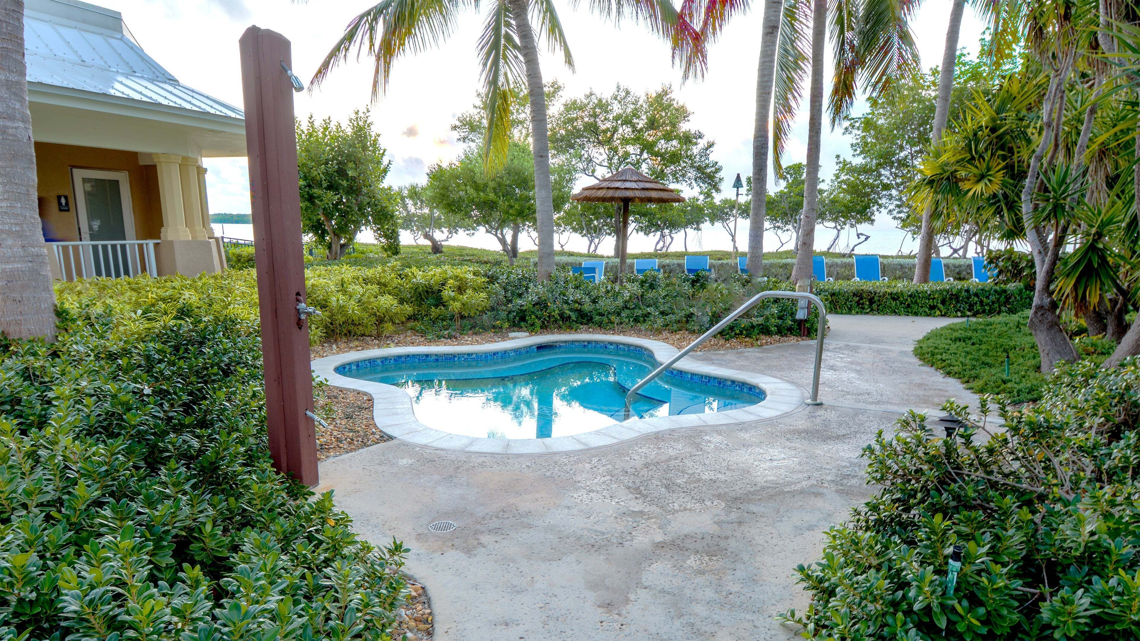 A swimming pool with a curved edge, surrounded by lush greenery and palm trees.