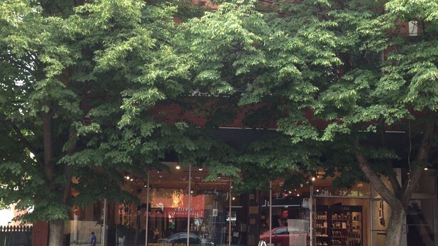 Ein Schaufenster mit großen Fenstern, einem Hydranten und einem Bürgersteig.