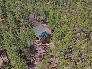 Aerial view - BLUE LAKE INN! SLEEPS 12 WITH CENTRAL AIR! FENCED FOR PUPS! (Pinetop)