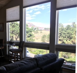 See the Stanley Hotel from the living room 