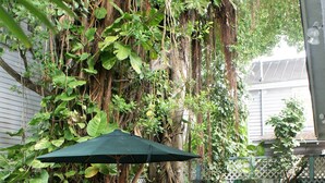 Un patio con mesa y sillas, rodeado de exuberante vegetación y un gran árbol.