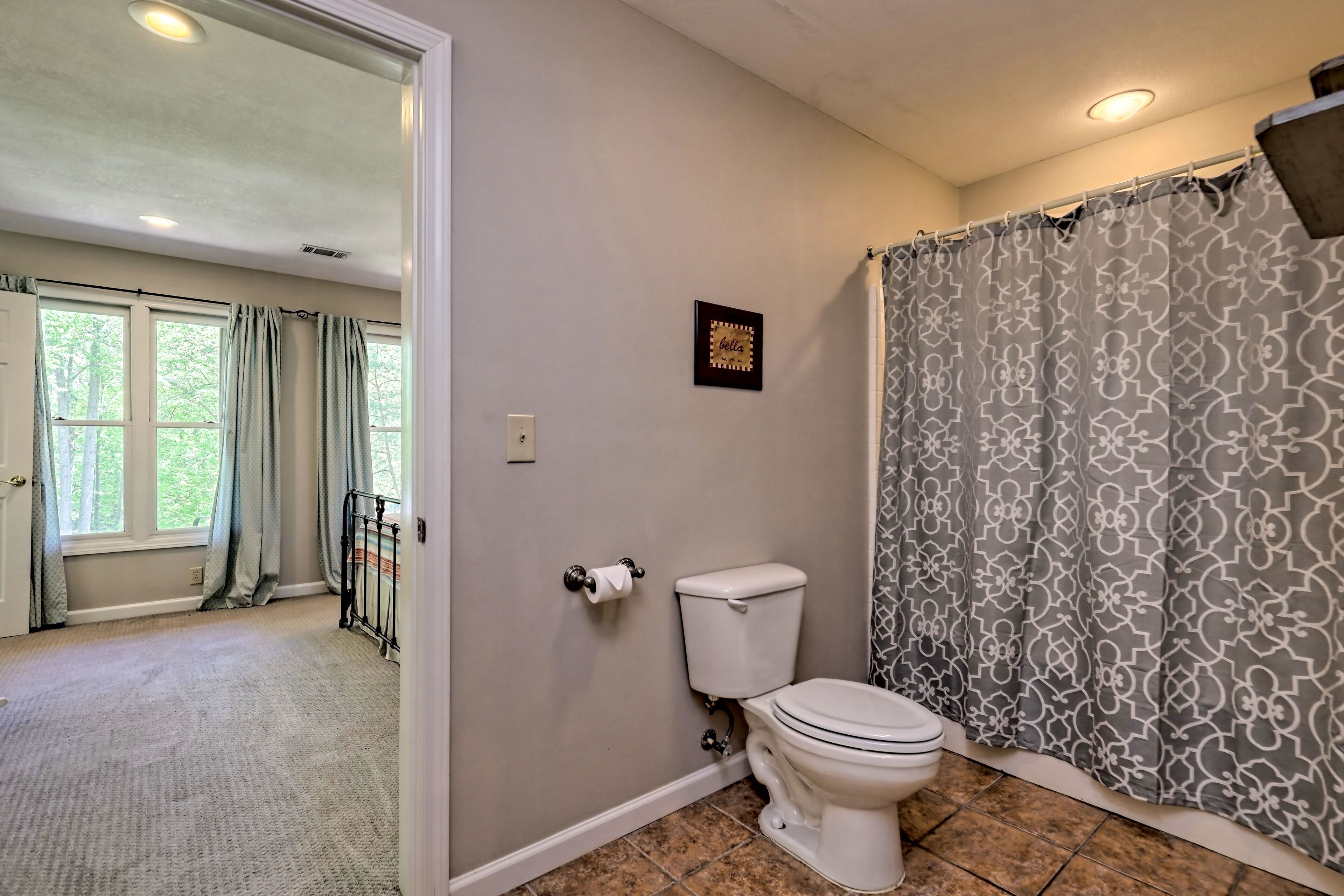 Une salle de bain avec des toilettes, un rideau de douche et un tableau encadré au mur.