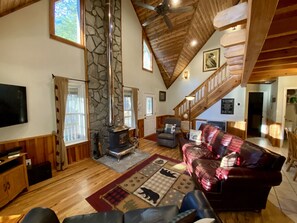 Smart TV, fireplace, DVD player, books