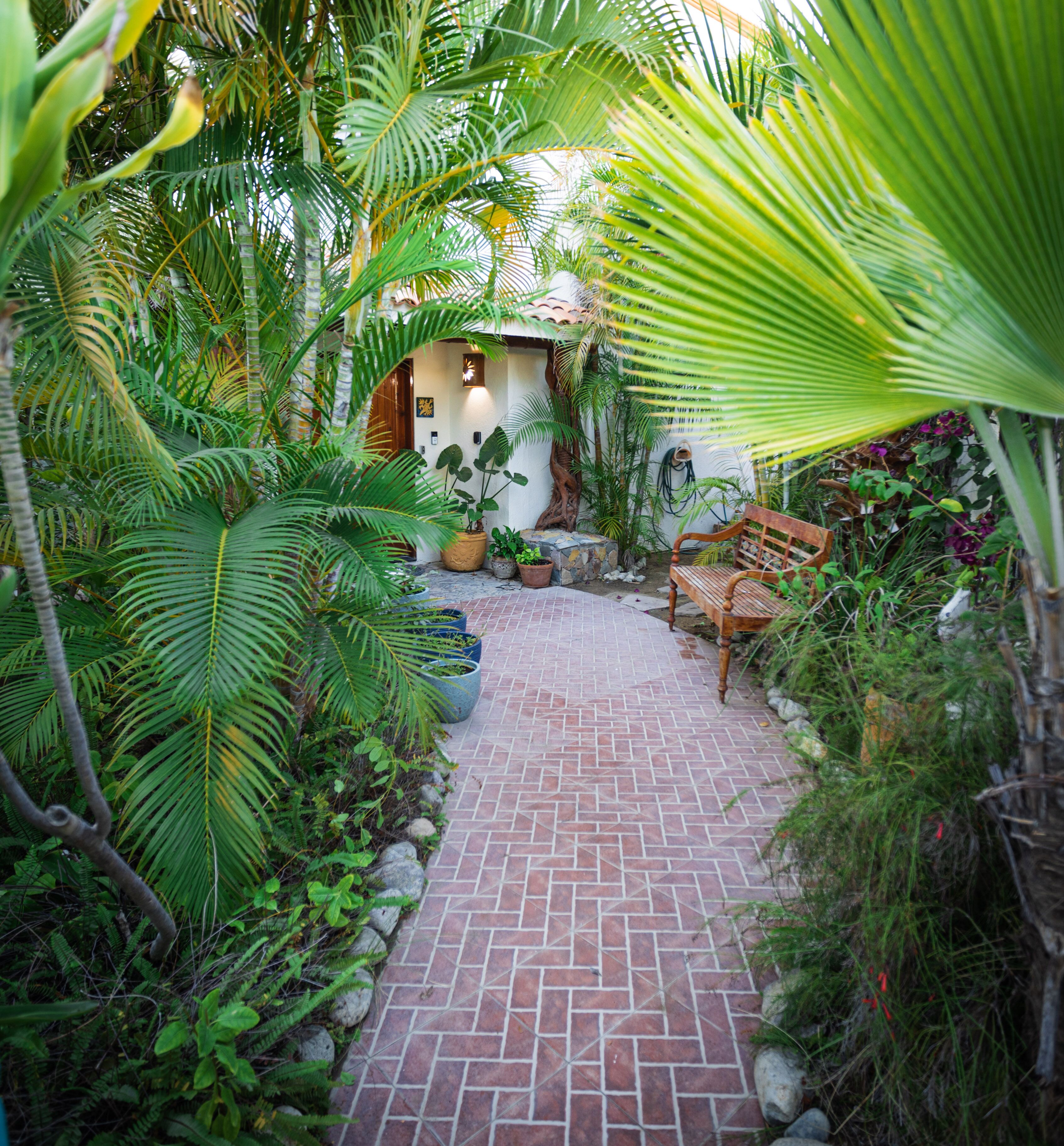 A brick pathway leading to a wooden bench and a white building with a thatched roof, surrounded by lush greenery and potted plants.
