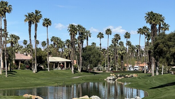 A golf course with a pond, palm trees, and a building in the background. - BEAUTIFUL SUNRISES.  THREE MASTER SUITES (Palm Desert)