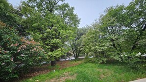 A park with trees, grass, and a concrete path.