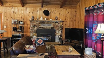 Smart TV, fireplace, books