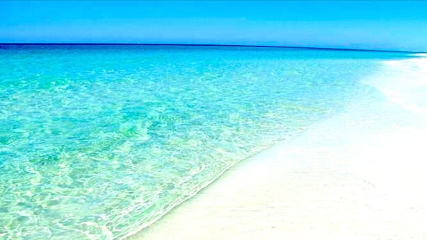 Une plage à l’eau turquoise et limpide et au sable blanc.