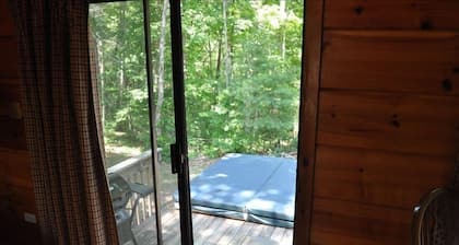 Cozy Cabin on Blue Ridge Pwy & MTS Trl with hot tub, only 15min from downtown