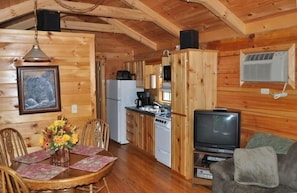 TV, DVD player, video library, stereo