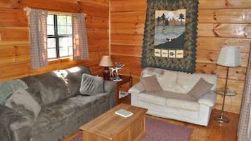 TV, DVD player, videoteca, aparelho de som