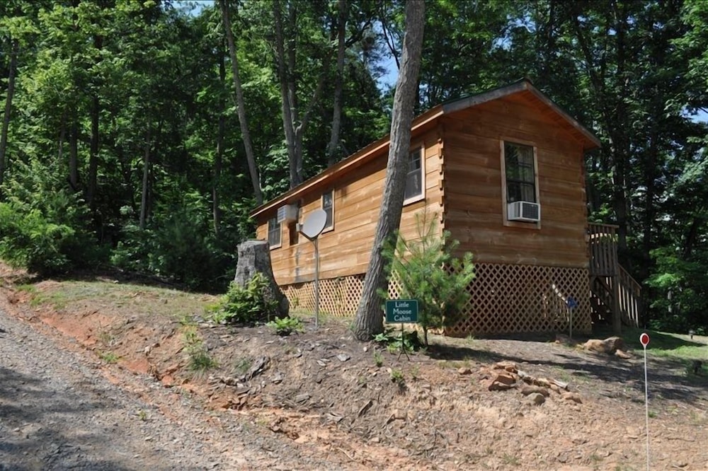 Cozy Cabin on Blue Ridge Pwy & MTS Trl with hot tub, only 15min from downtown