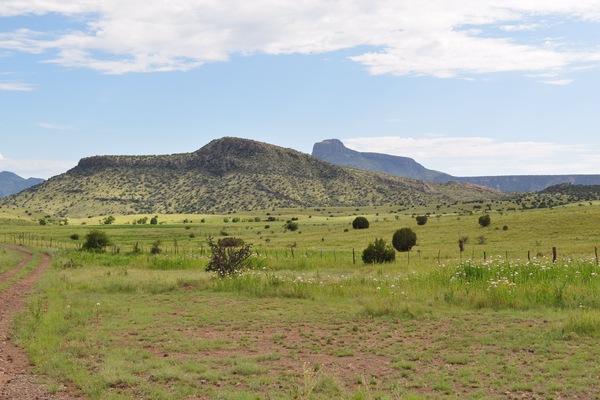 View driving to house.