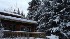 A wooden cabin with a snow-covered roof and a wooden deck. - 1-2 Family Perfection:  Location + Views + Ammenities = Value (West Dover)