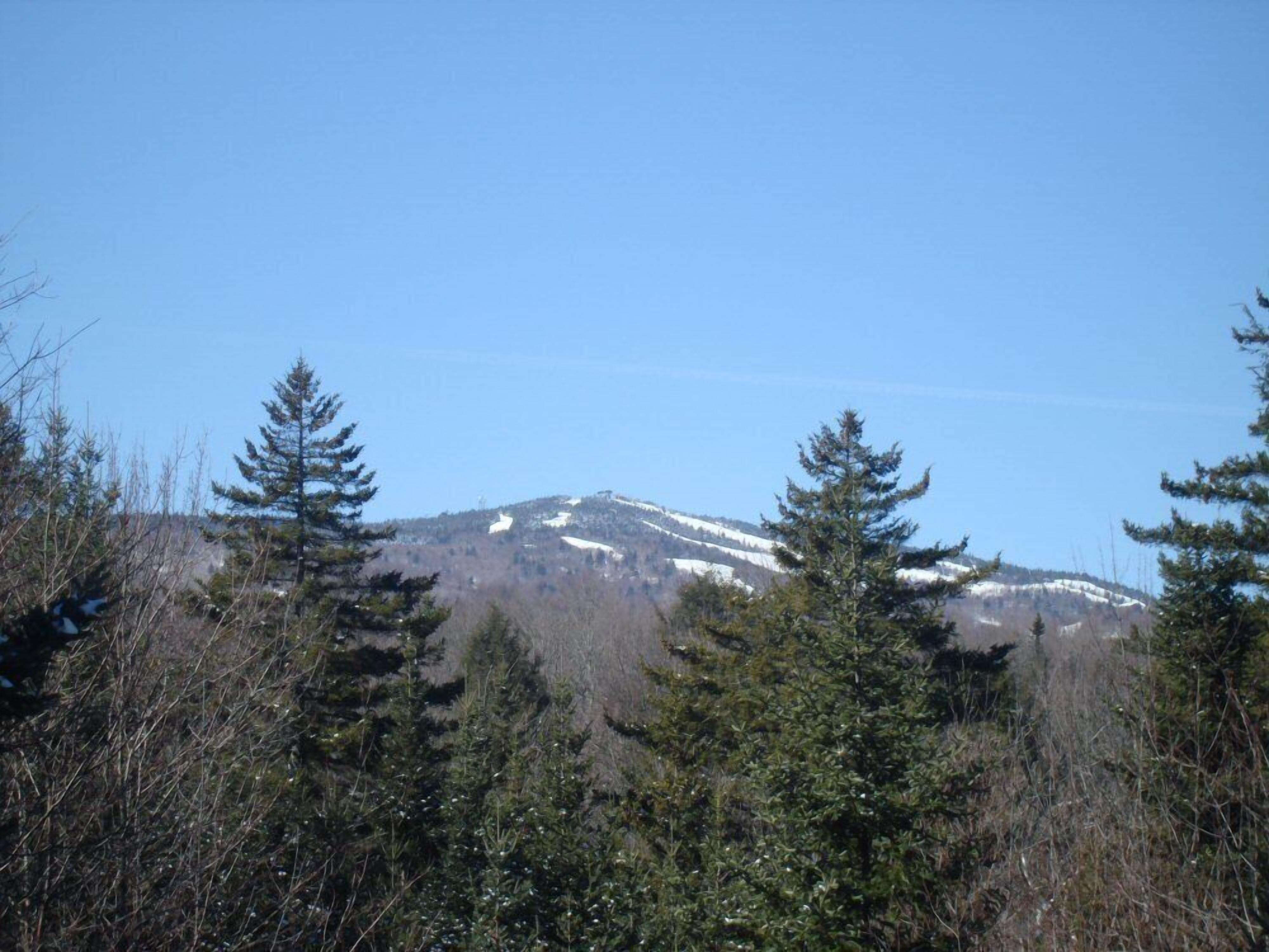 Una montaña con parches de nieve, rodeada de árboles de hoja perenne.