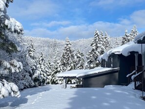 Exterior - Yosemite, Family, Memories, Spa & Tesla Charger (North Fork)