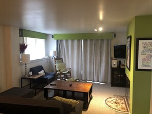 Televisor, llar de foc, reproductor de DVD i llibres