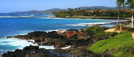 A coastal landscape with rocky terrain, a clear blue sea, and a distant view of a residential area with houses and palm trees.