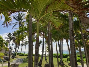 Property grounds - Charming Villa 442 "Les Palmiers" St. James's Club Beach Peninsular, Antigua  (Mamora Bay,)
