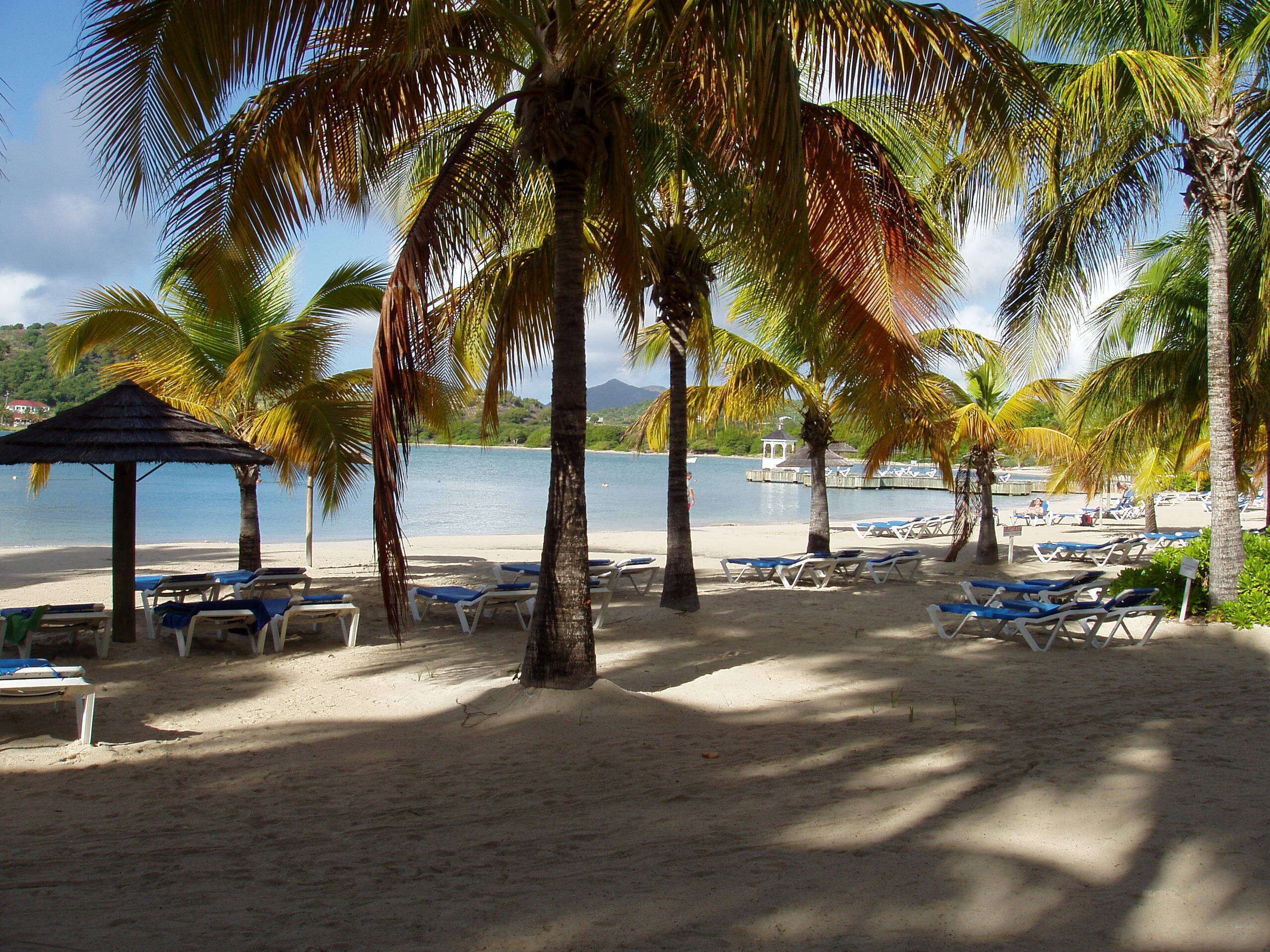 A beach with lounge chairs, palm trees, and a gazebo.