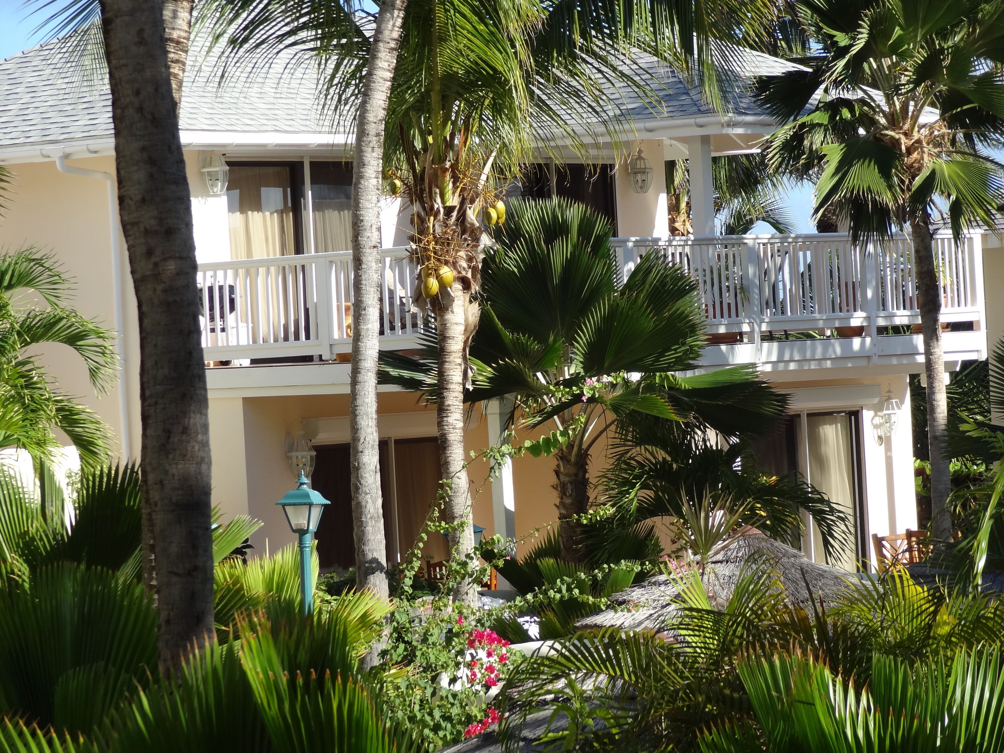 A two-story hotel with balconies, palm trees, and a garden.