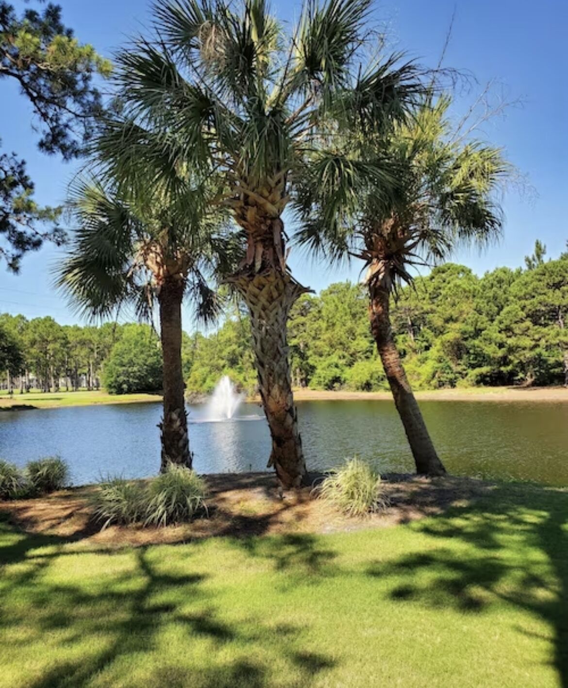 Cozy Sunset Beach Condo w/Pond View, Pool, Tennis/Pickleball & 27 Holes of Golf