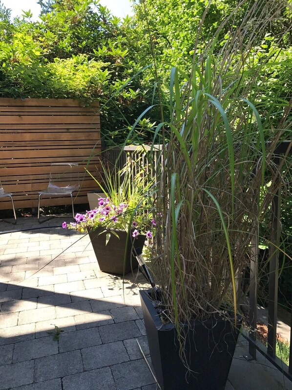 Eine Terrassenfläche mit einer hölzernen Bank, Blumentöpfen und einem Blumenbeet.