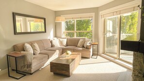 TV, fireplace, DVD player, video library