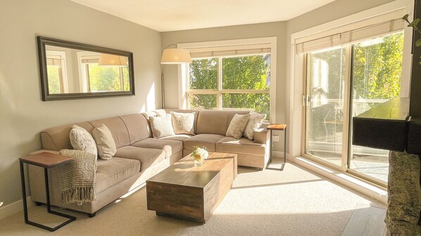 TV, fireplace, DVD player, video library