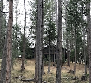 Property grounds - Cozy, family-friendly cabin in a gated lake resort near Yosemite!  (Groveland)