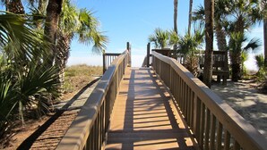 A wooden boardwalk leading to a beach with palm trees on both sides. - 404 Captain's Walk: Perfect 2BR/2Bth Oceanfront Condo (Hilton Head Island)