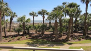 A landscaped area with palm trees and a view of the ocean. - 404 Captain's Walk: Perfect 2BR/2Bth Oceanfront Condo (Hilton Head Island)