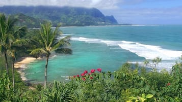 Beach nearby, beach towels
