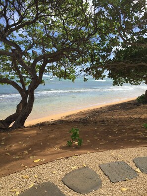 Plage, chaises longues, serviettes de plage