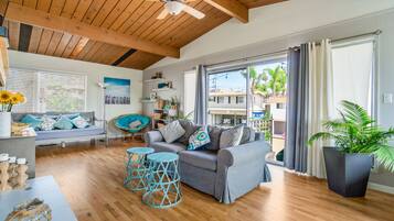 Smart TV, fireplace, books, video library