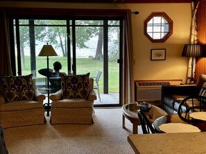 Smart TV, fireplace, DVD player, books