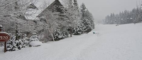 Esportes de neve e esqui
