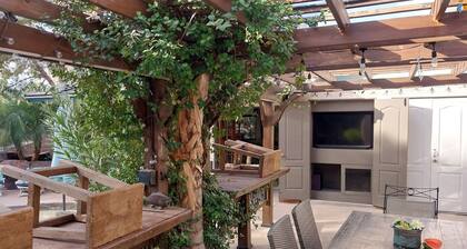 Custom Tropical Estate Minutes from the Las Vegas Strip