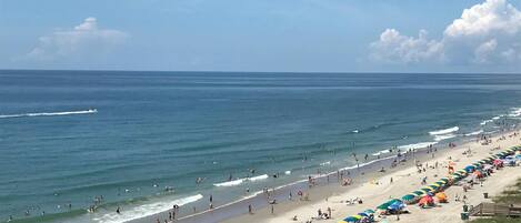 A beach with rows of umbrellas and sun loungers, a clear sky, and the ocean.