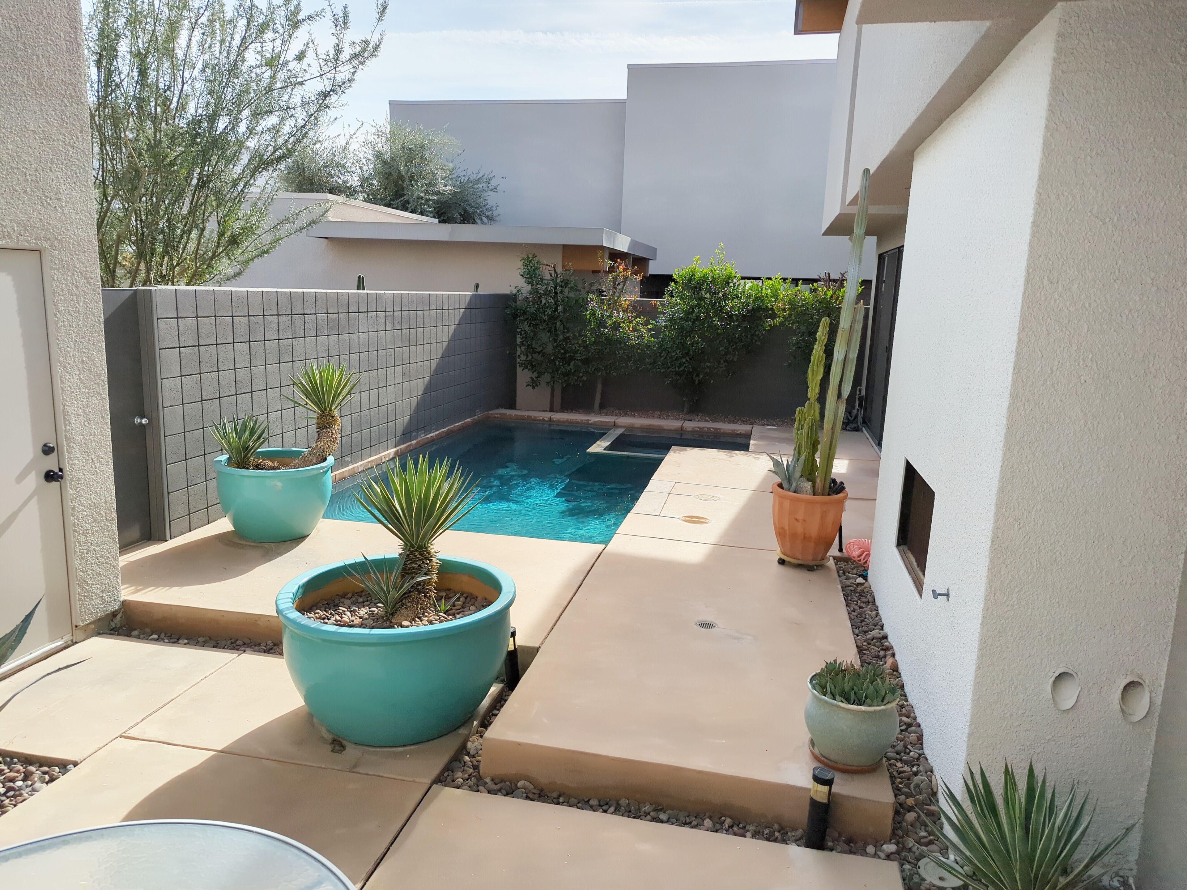 A modern outdoor patio with a pool, potted plants, and a cactus.