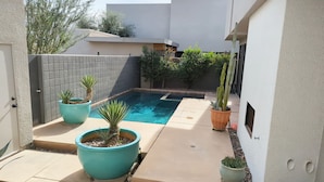 A modern outdoor patio with a pool, potted plants, and a cactus. - Palm Springs - Central & Modern! (Palm Springs)