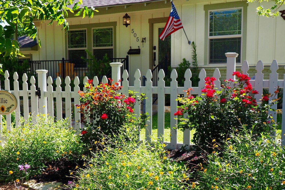 COLLEGE STREET COTTAGES- GEORGETOWN SQUARE AREA - HISTORIC DISTRICT