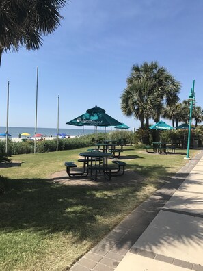 Relax in our outdoor seating area surrounded by lush greenery and a stunning beach view.