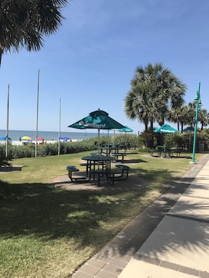 Relax in our outdoor seating area surrounded by lush greenery and a stunning beach view.