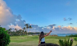 Golf - South Shore Ocean View 1 BR Condo Poipu Sands 112 Close to the Beach Upgrades (Koloa)