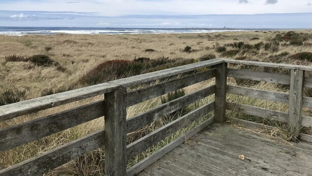 A wooden boardwalk leading to a beach with dunes and ocean waves in the background.